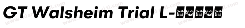GT Walsheim Trial L字体转换